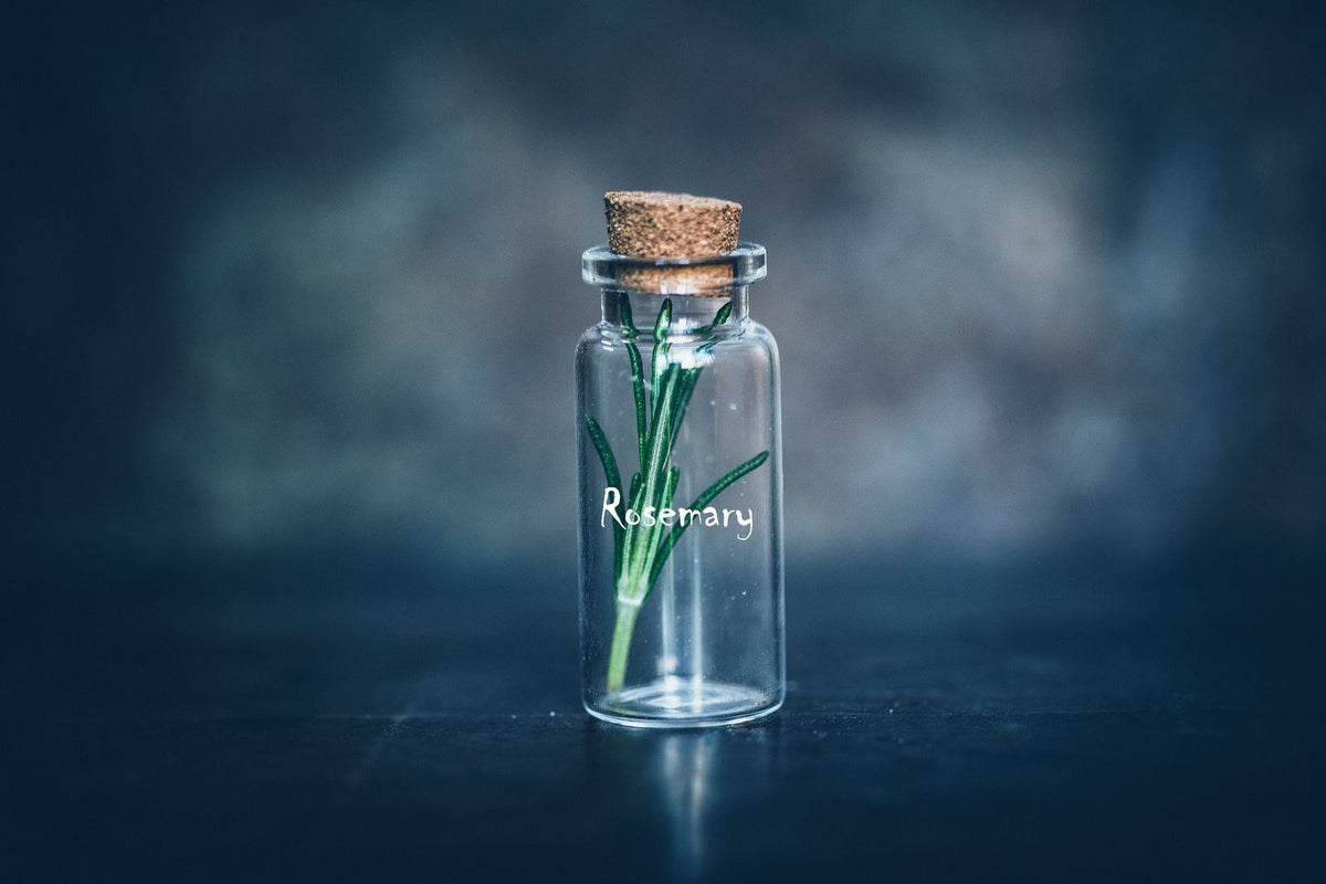 Rosemary Oil for Hair Growth: What Does the Evidence Say?